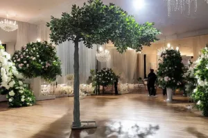 10ft Arch Ficus Tree Rental