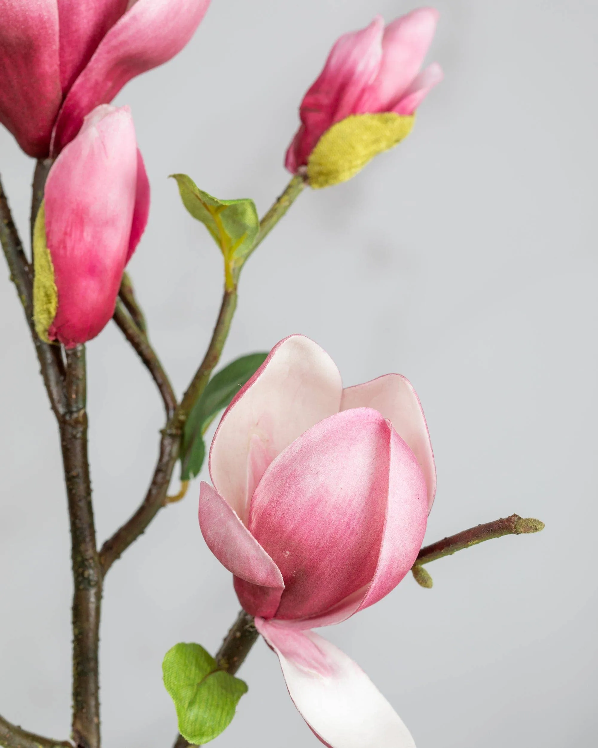 Artificial Pink Magnolia Stem 20"